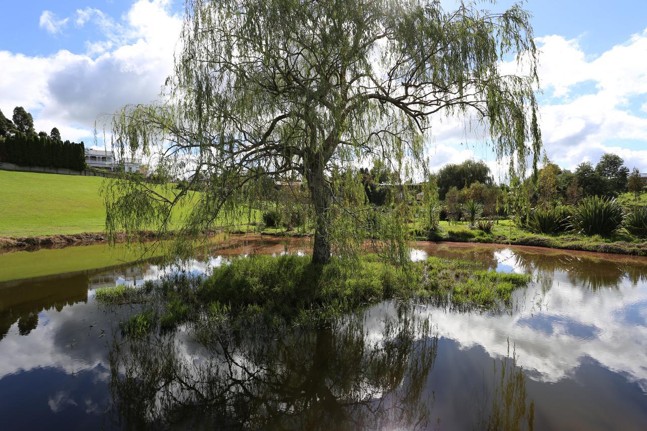Maungakawa Villa Cambridge Dış mekan fotoğraf